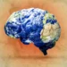 Cum afectează schimbările climatice creierul tău, conform unui neurocercetător