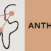 anthropic header