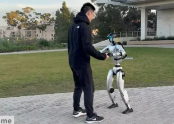 robot vals 6790d1328b46b