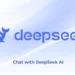 deepseek chat 679a23b54e558