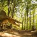 Dino Parc Râșnov – un an de succes și planuri ambițioase pentru 2025