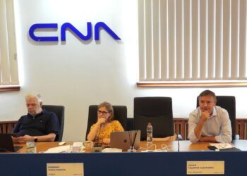 decizii luate în ședința din 30 iulie 2025