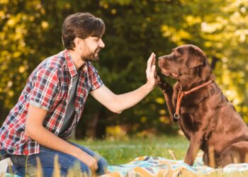 Cum reușesc câinii să ne „citească” emoțiile: creier, oxitocină și empatie