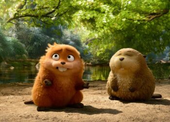 formate 2D, 3D, 4DX și IMAX